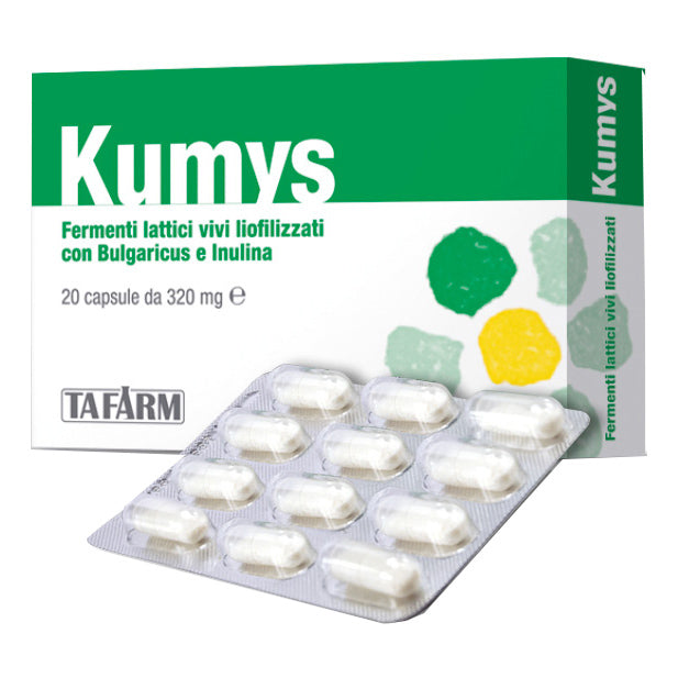 KUMYS FERM LATT 20 OPER