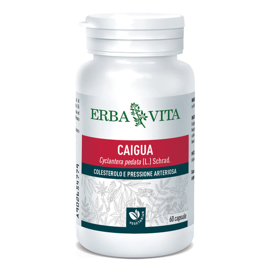 CAIGUA 60CPS 400MG EBV