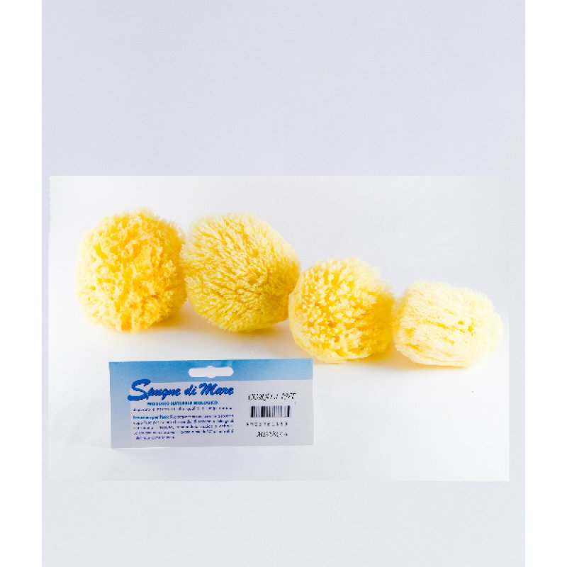 BIEMMEFARMA Spugna Mare Naturale XL