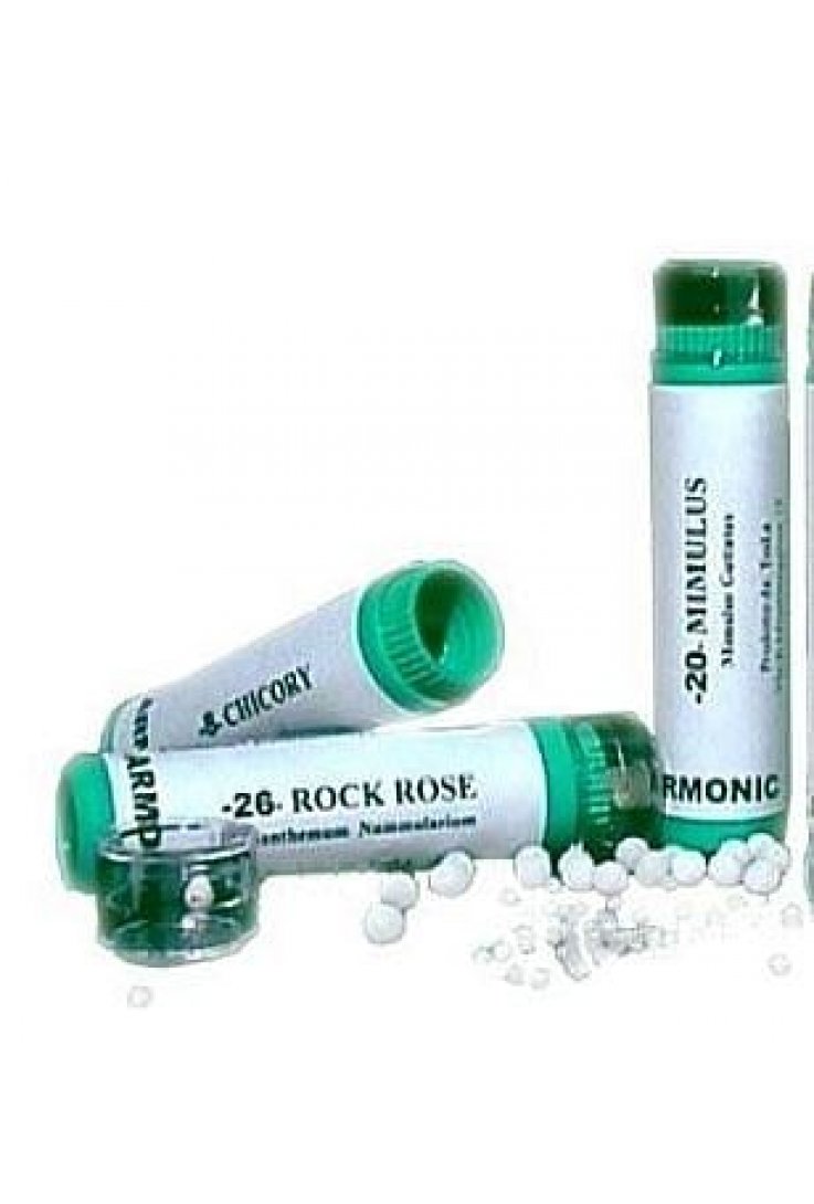 ARMONIC 15 HOLLY 70GR TESLA