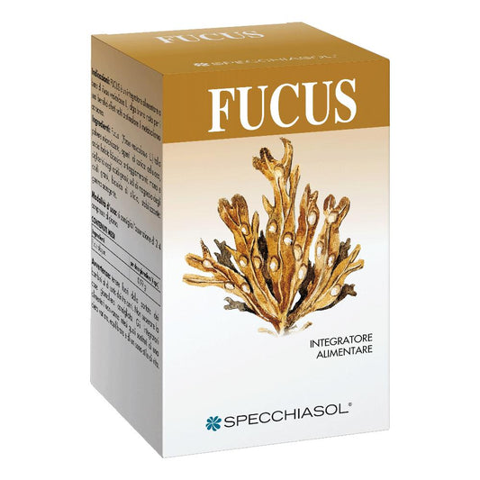 FUCUS ERBE 150TAV SPECCH