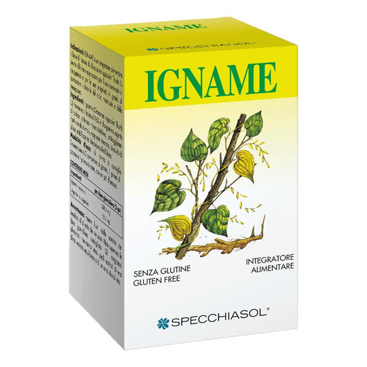 IGNAME ERBE 60TAV SPECCH