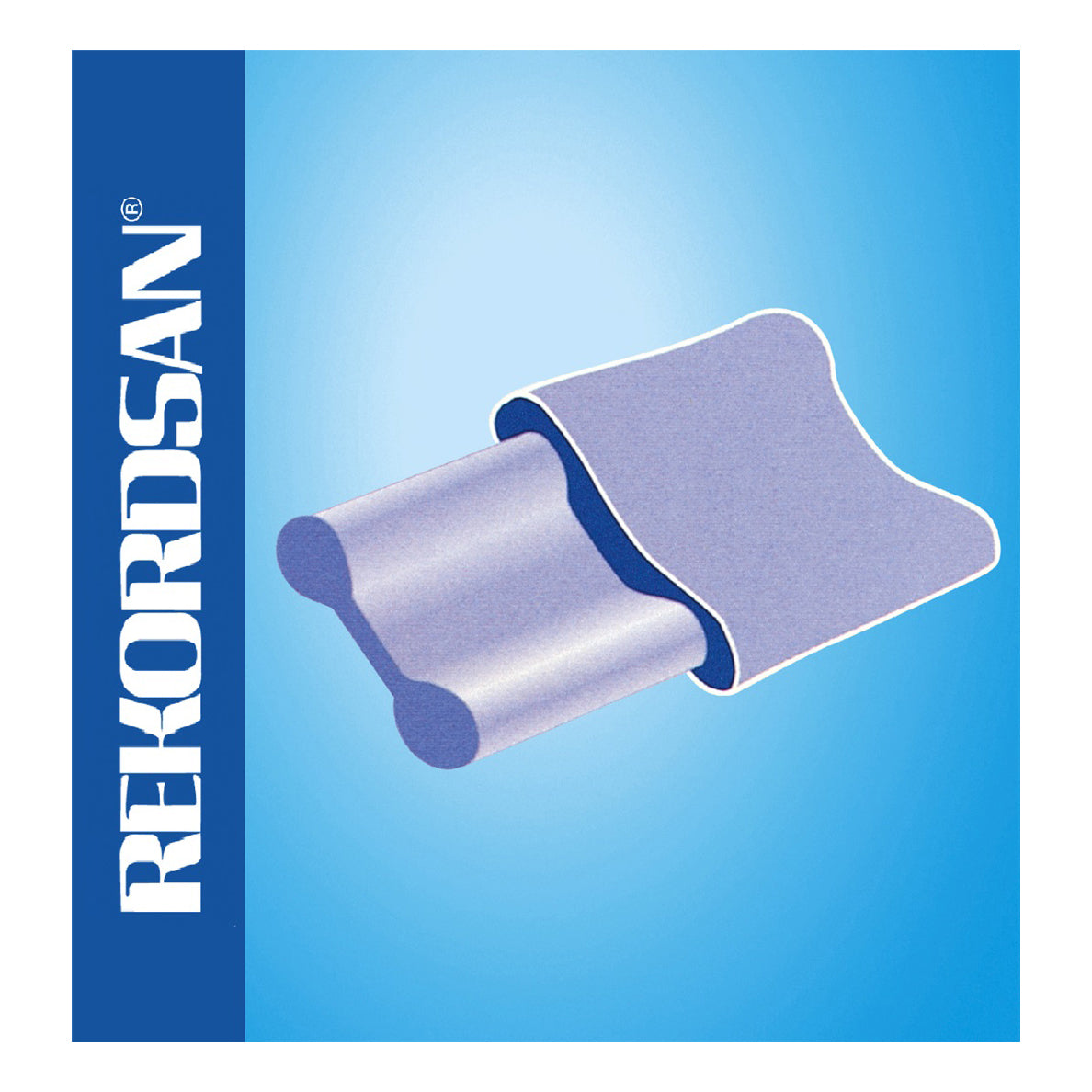 REKORDSAN Guanciale AntiAcaro