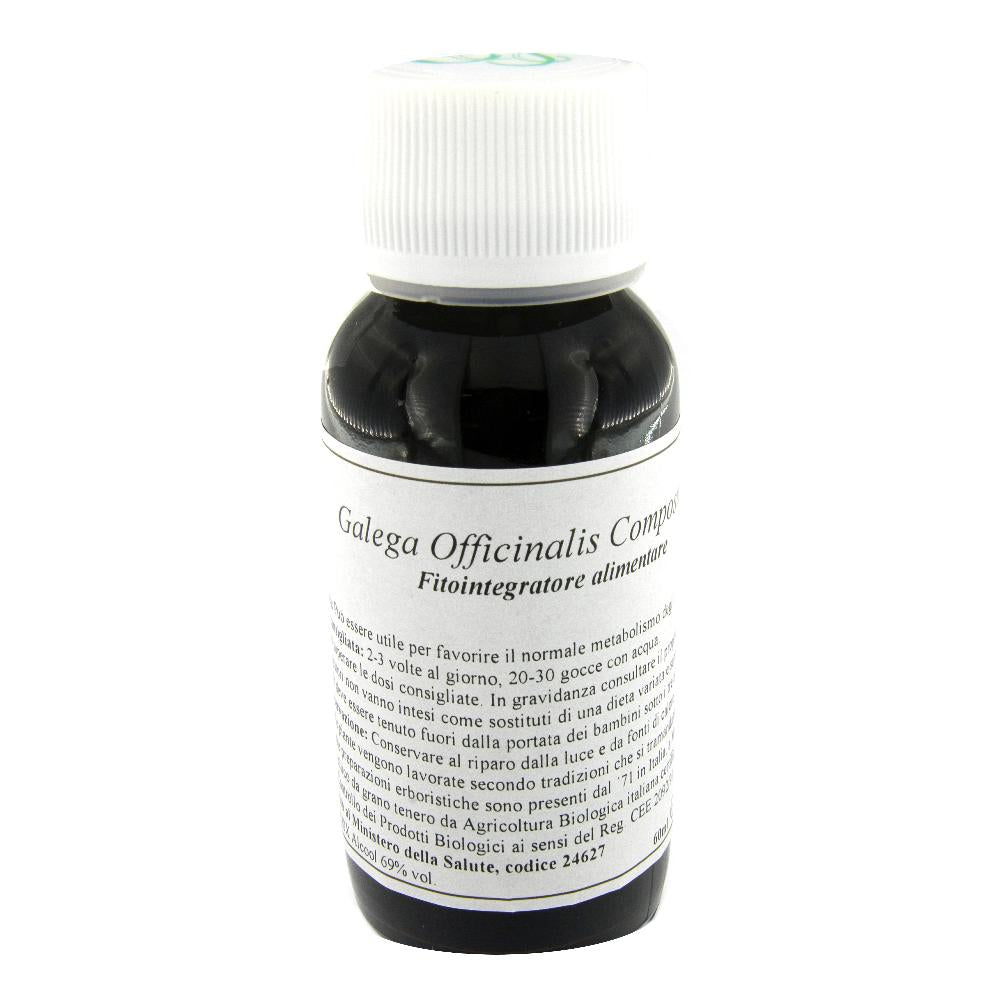 13N GALEGA OFF COMP LVS