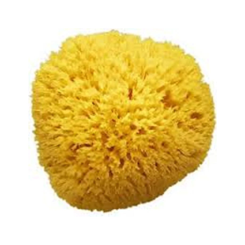 Amidosan Spugna Di Mare 13