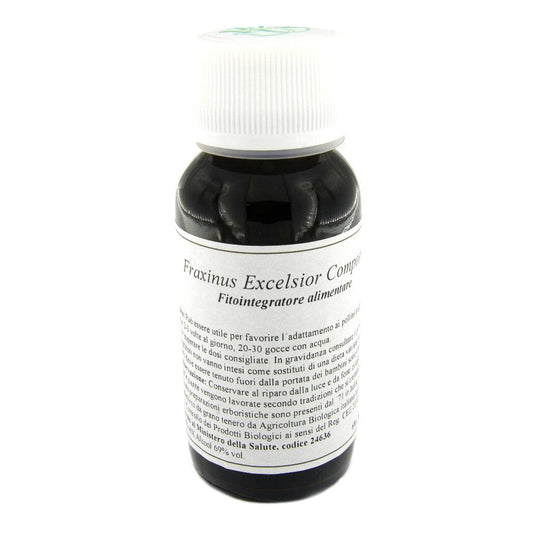 22N FRAXINUS EXCELSIOR COM LVS