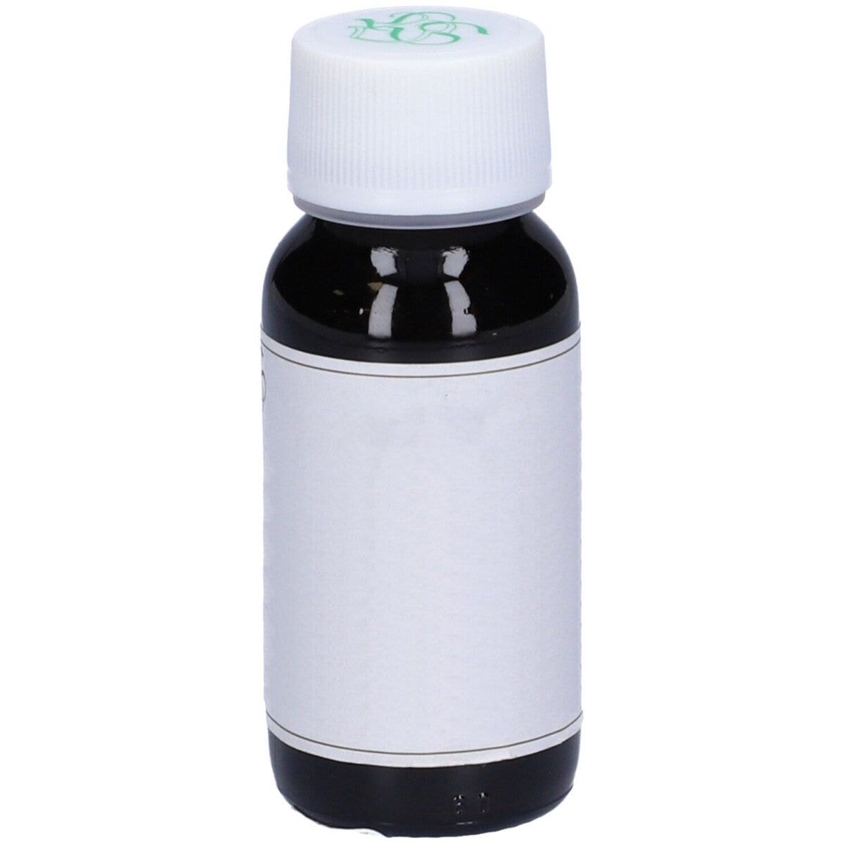 LVS 74S Eryngium Campestre Com