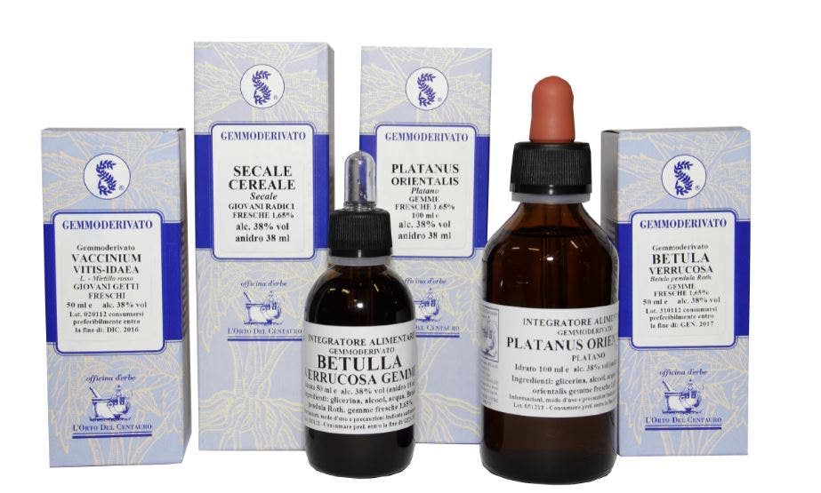 CEDRUS LIBANI MG 100ml