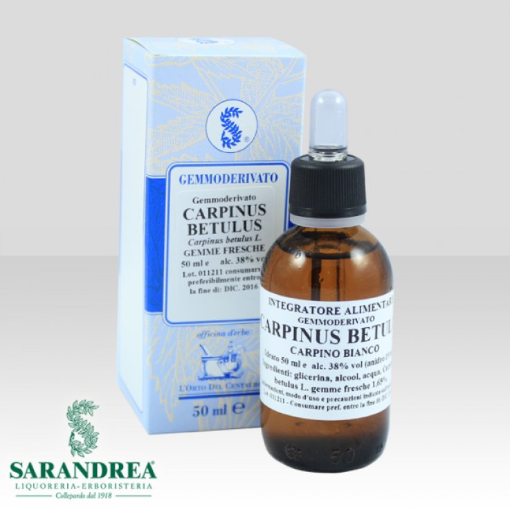 CARPINUS BETULUS 60ML MG