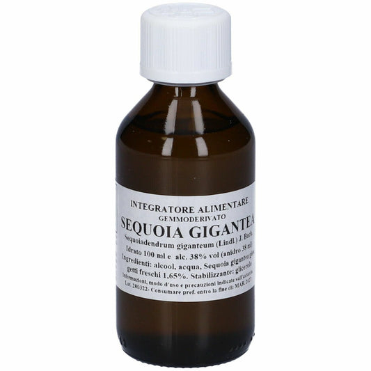 SEQUOIA GIGANTEA 100ML MG