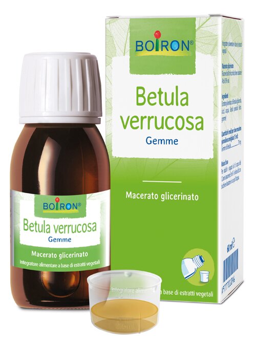 BETULA VERR GEMME 100ML MG