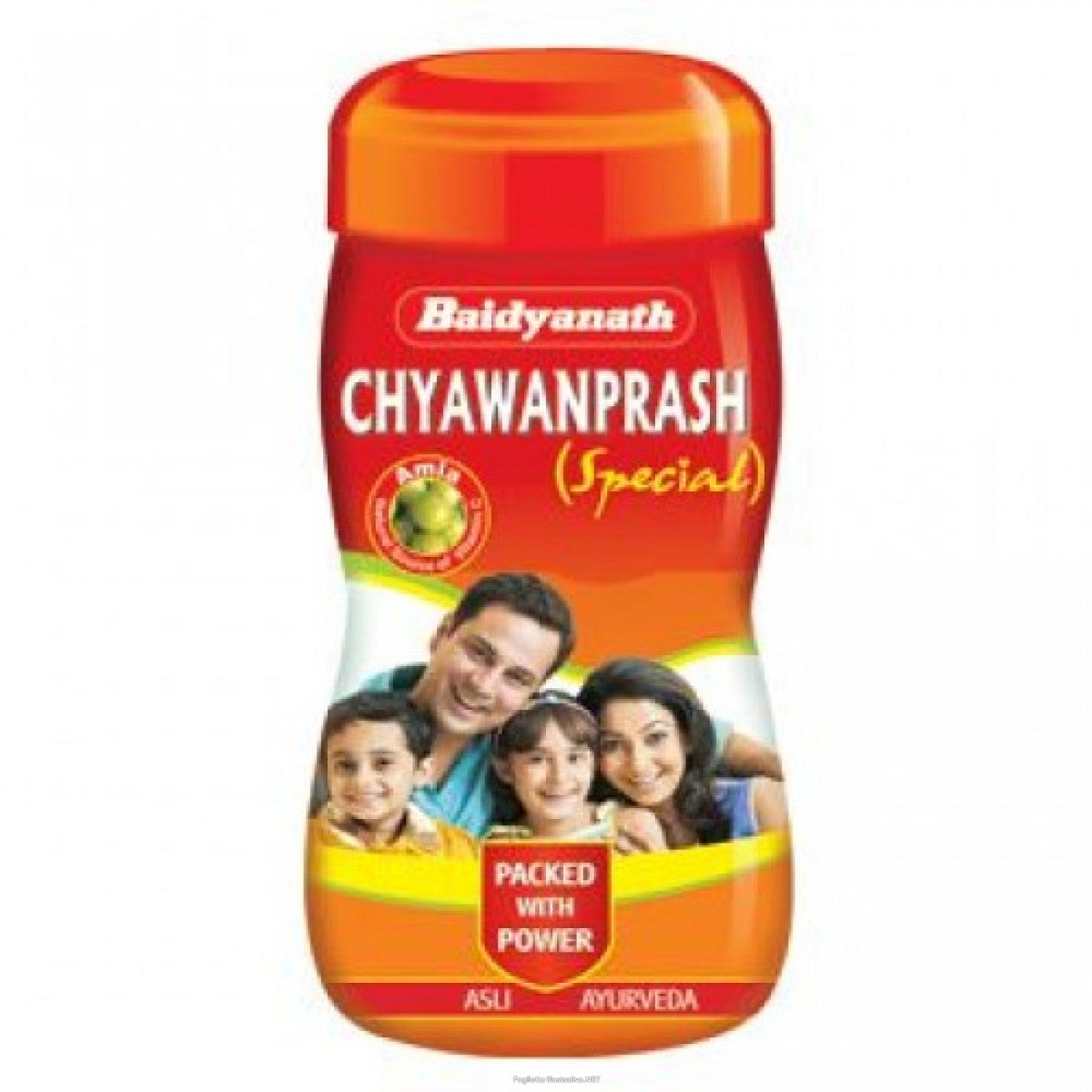 CHYAWANPRASH SPECIAL 500G