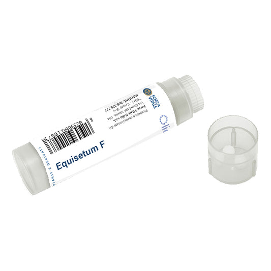 EQUISETUM F 100GR