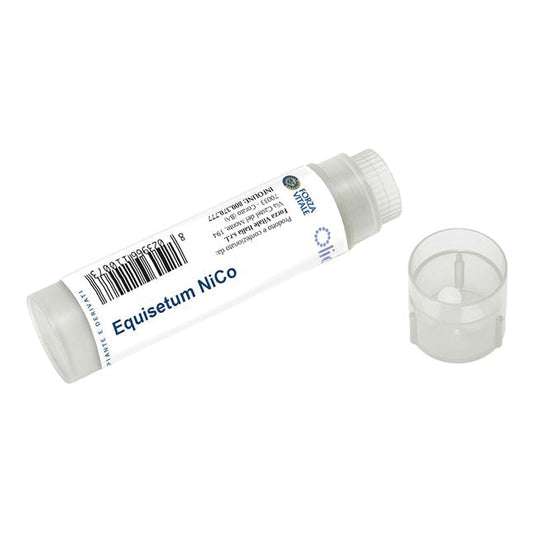 FV.EQUISETUM NI/CO 5G GR