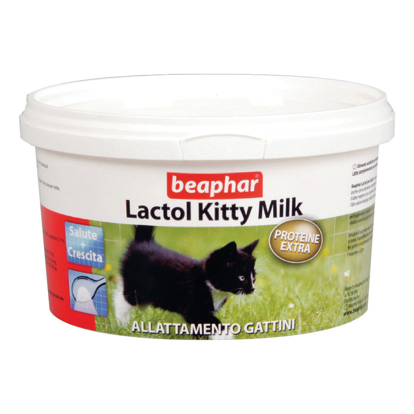 LACTOL GATTINO 250 GR