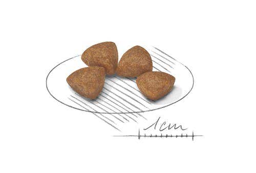 Royal Canin Crocchette Per Cuccioli Taglia Molto Piccola Sacco 500g