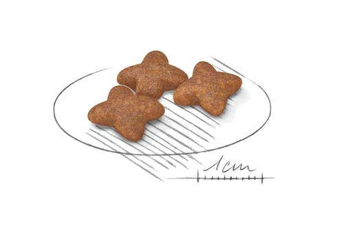 Royal Canin Crocchette Per Cani Adulti Taglia Mini Sacco 800g
