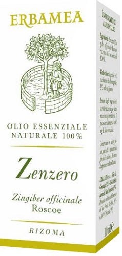 Erbamea Zenzero 10ml