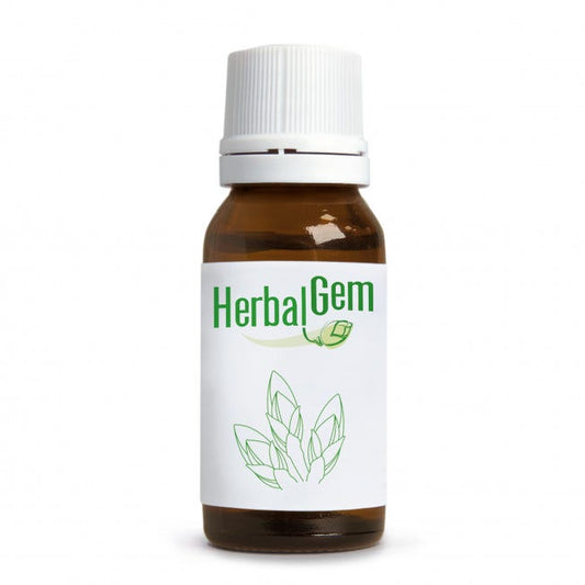 Herbalgem Fum Bio Vie Respiratorie 250ml