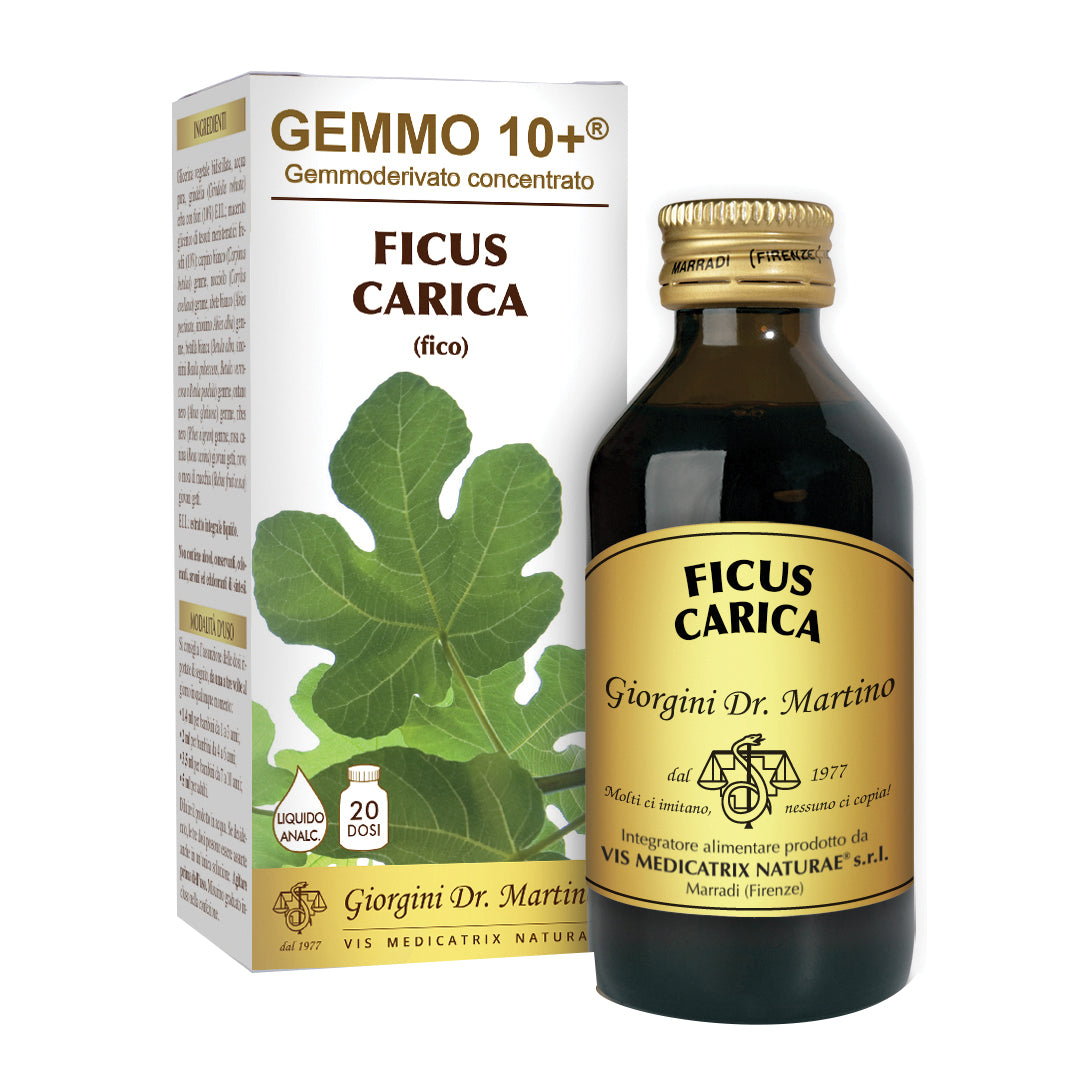 FICUS Carica Gemmo 10+ 100ml