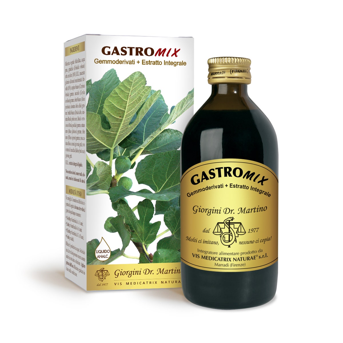 GASTROMIX LIQUIDO ANALC 100ML
