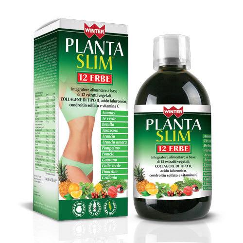 WINTER PLANTA SLIM 12ERBE 500ML
