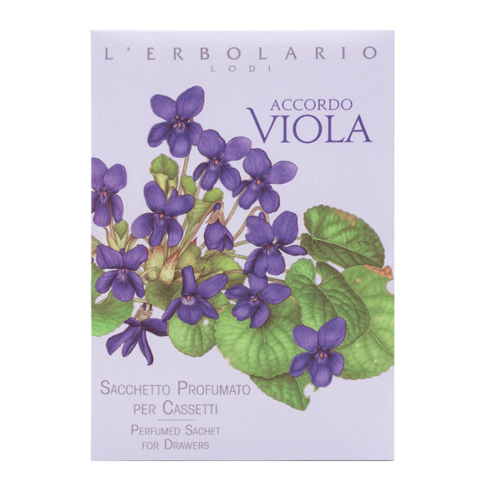 ACCORDO VIOLA SACCHETTO PROF