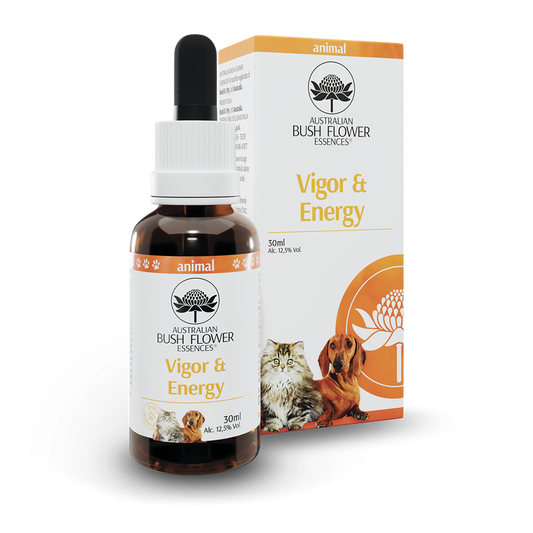 Australian Bush Flower Essences Vigor&Energy 30ml