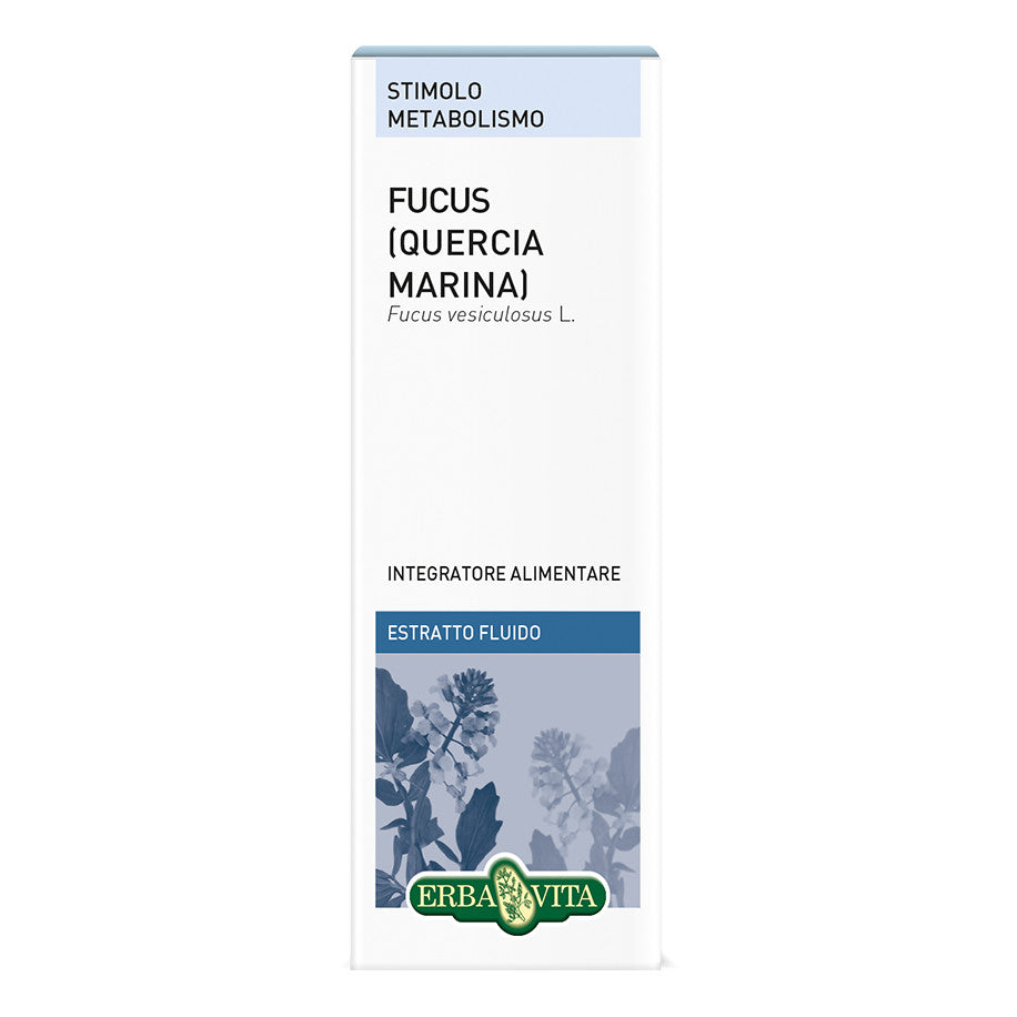 FUCUS QUERCIA MARINA ESTR FL50
