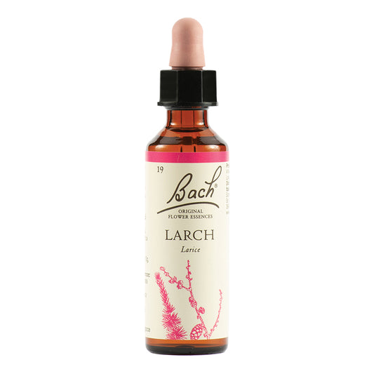 BACH 19 Larch Gtt 20ml
