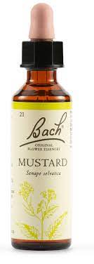 BACH 21 Mustard Gtt 20ml LKR