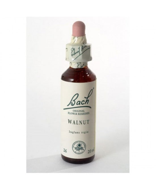 BACH 33 Walnut Gtt 20ml LKR