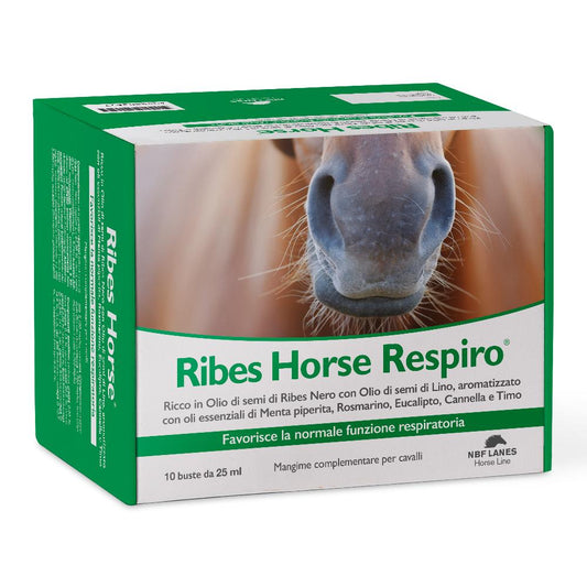 RIBES HORSE RESPIRO 10BUST