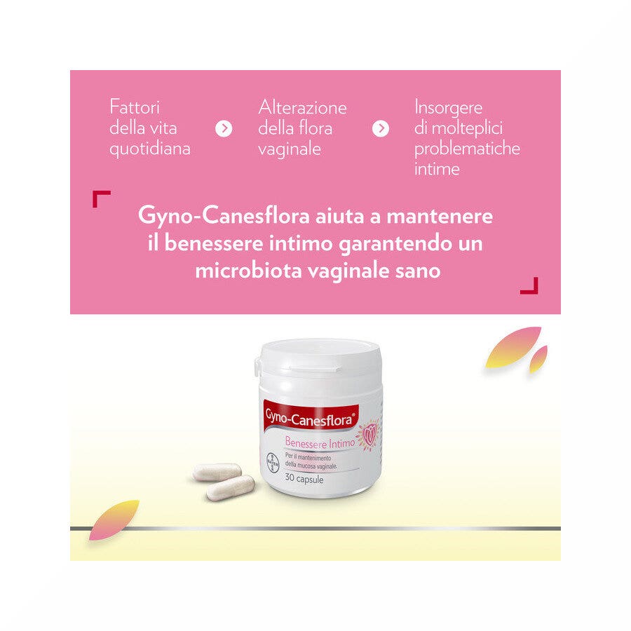 Gyno Canesflora probiotico con vitamina B2 per benessere Intimo e Flora Vaginale Equilibrata 30 cps