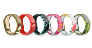 PARAKITO EFAS BRACC GRAF JUN P