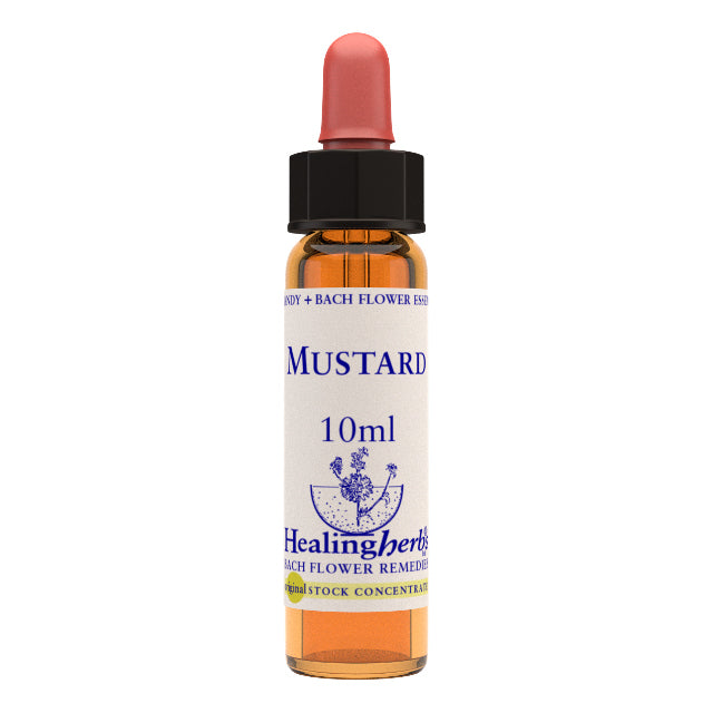 MUSTARD 20ML