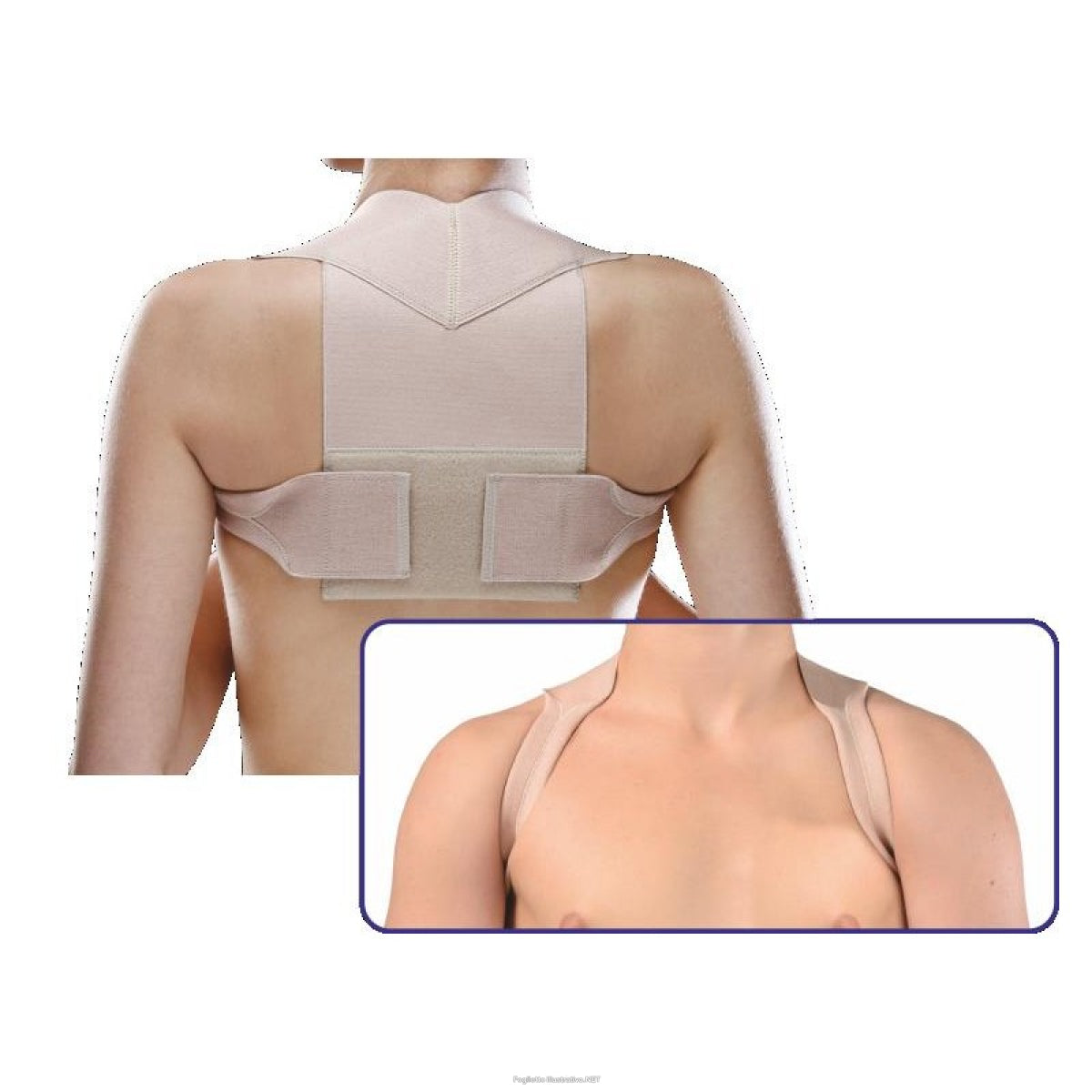 CLIAORTHO RADDRIZZASPALLE S