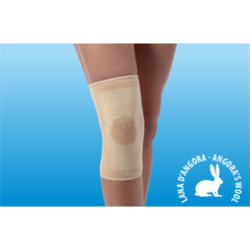 CLIAORTHO Ginocch.Lana L