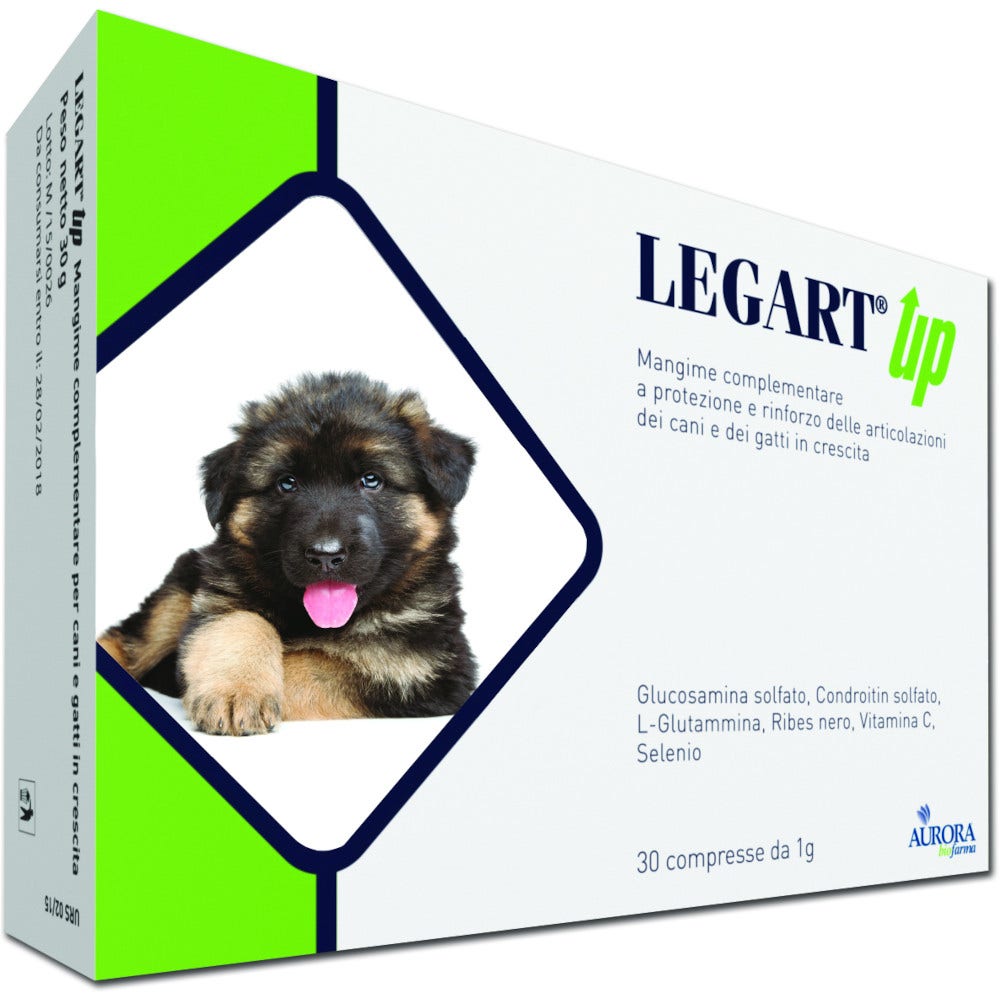 LEGART UP 120CPR