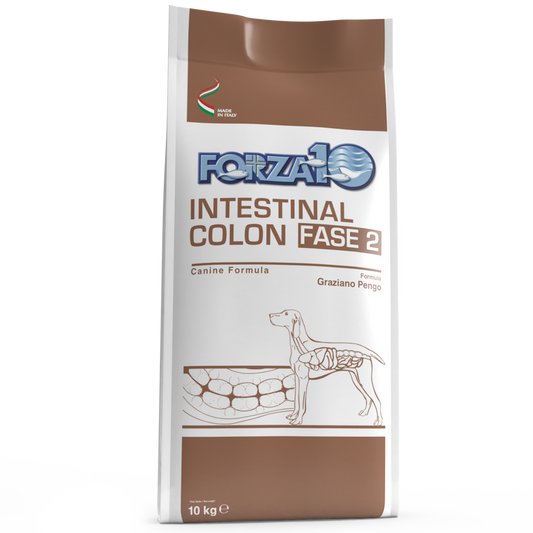 Forza10 Active Intestinal Colon Fase 2 Cibo Secco Cani Adulti Sacco 10kg