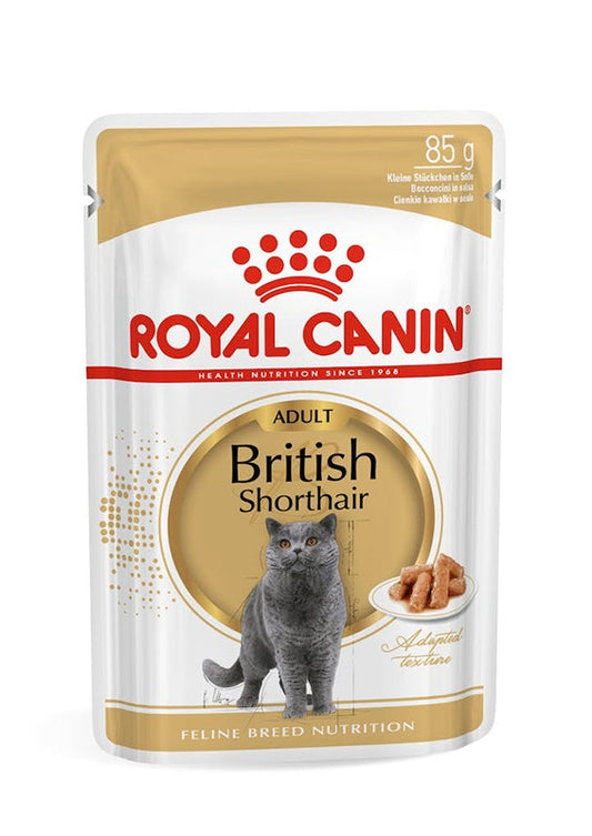 Royal Canin British Shorthair Bocconcini In Salsa Per Gatti 85g