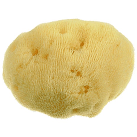 Alcea Spugna Di Mare Sbaincante Fine Dama 7cm Naturale Anallergica