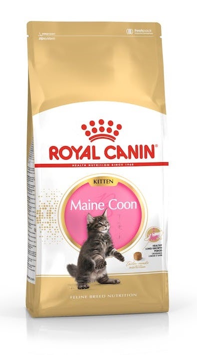 Royal Canin Kitten Maine Coon Crocchette Per Gattini Sacco 2kg