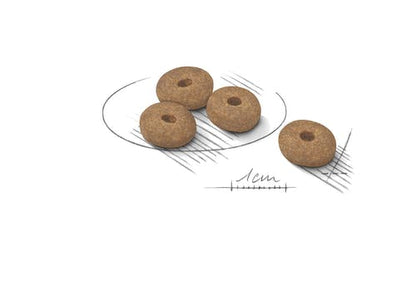 Royal Canin Light Weight Care Crocchette Per Cani Taglia Mini Sacco 1kg