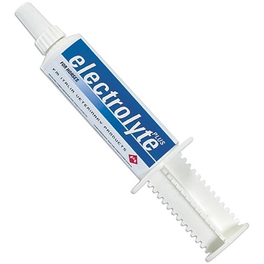 Electrolyte Plus Pasta Orale Per Equini Sportivi 50g