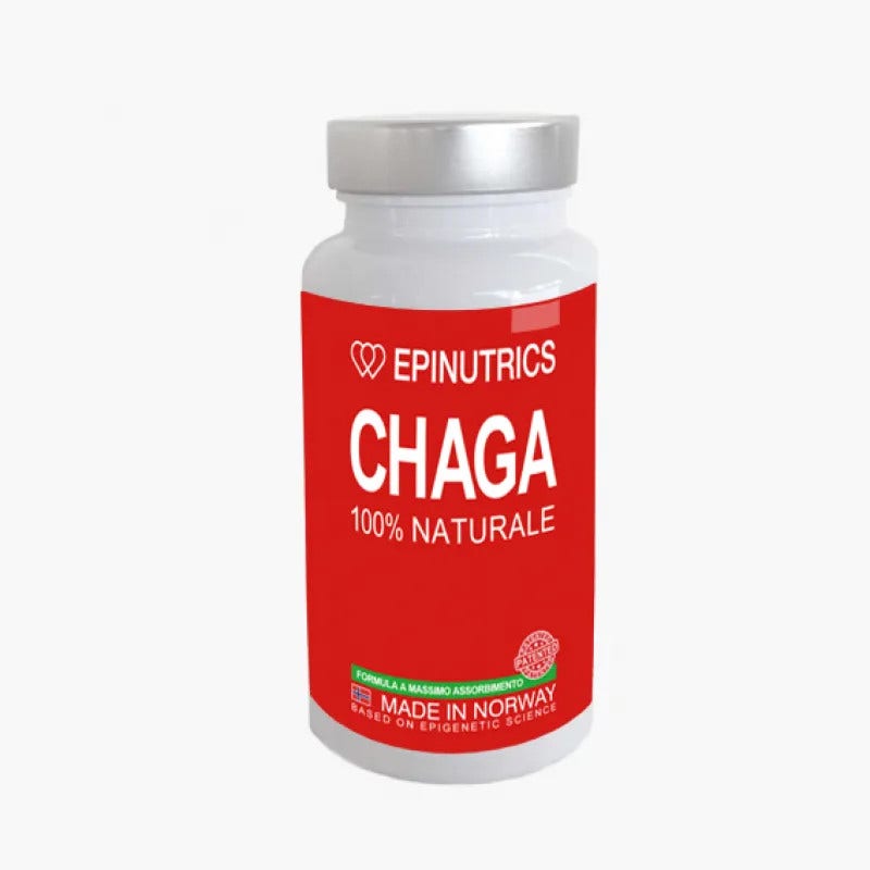 Epinutrics Epi Chaga 60 Capsule
