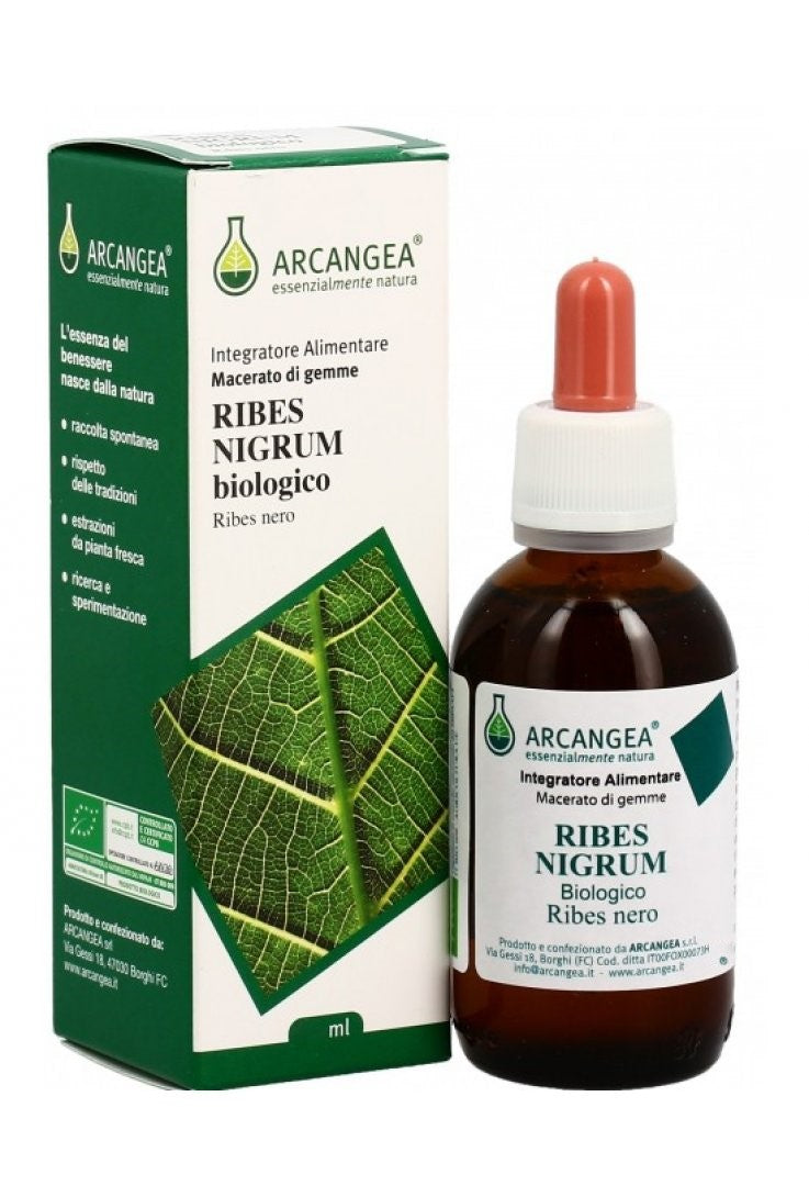 RIBES NIGRUM GD BIO 100 ML