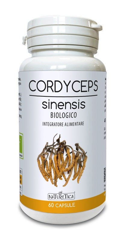CORDYCEPS SINENSIS 60CPS