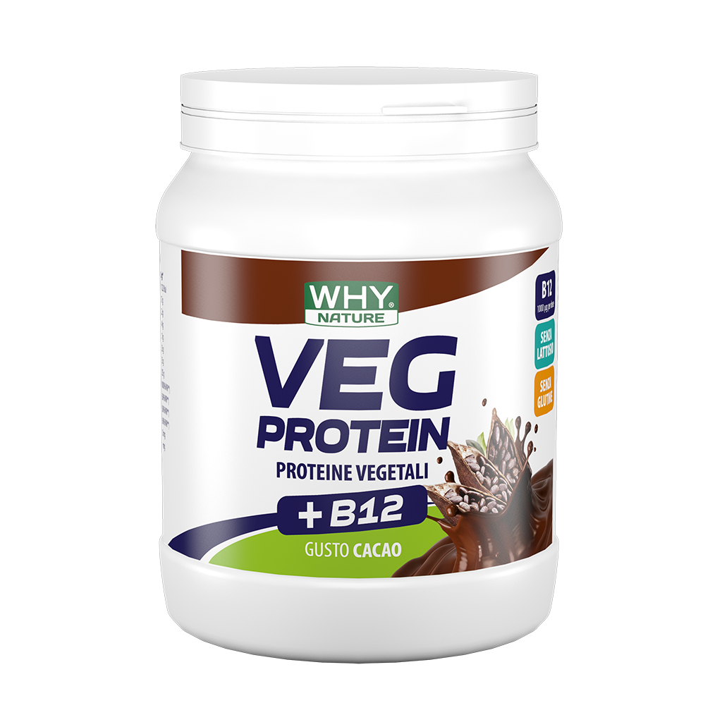 Whynature Veg Protein Cacao 450g