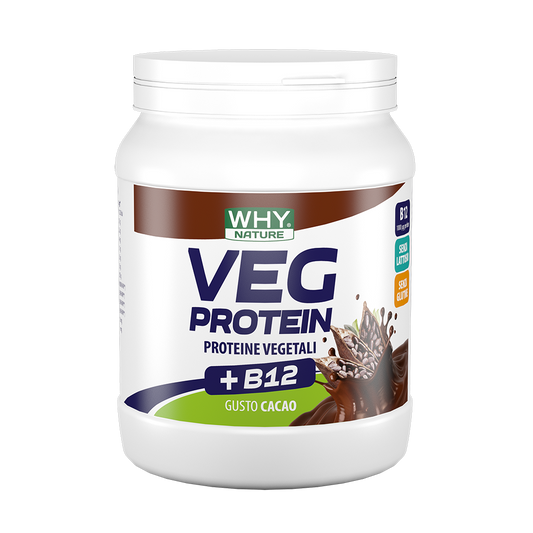 Whynature Veg Protein Cacao 450g